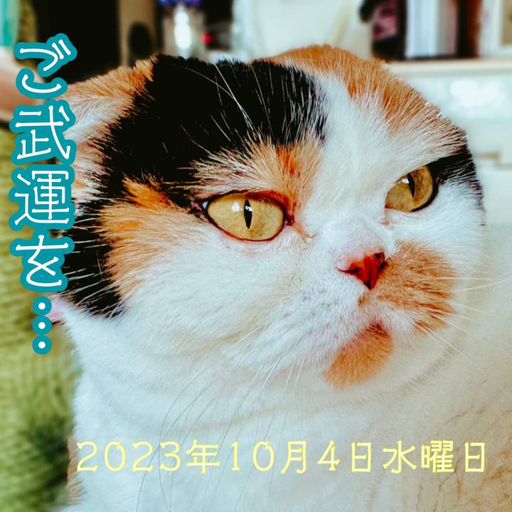 1d56180f 5013 414d a0c3 caf30f5cff86 1696379349349