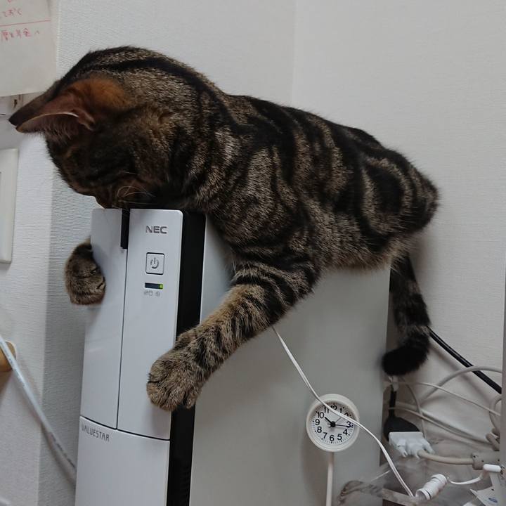 1d56233b e1cc 403f 8571 67b49ae95b60 1558577000107