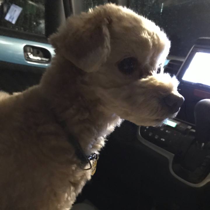 1d562597 1cd3 4cf3 9ac9 f54f0b2eb1a7 1570927008130