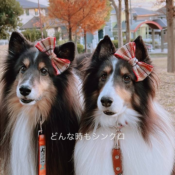 1d56488a 18eb 4dad acc7 b4180f57fd1f 1764951211062