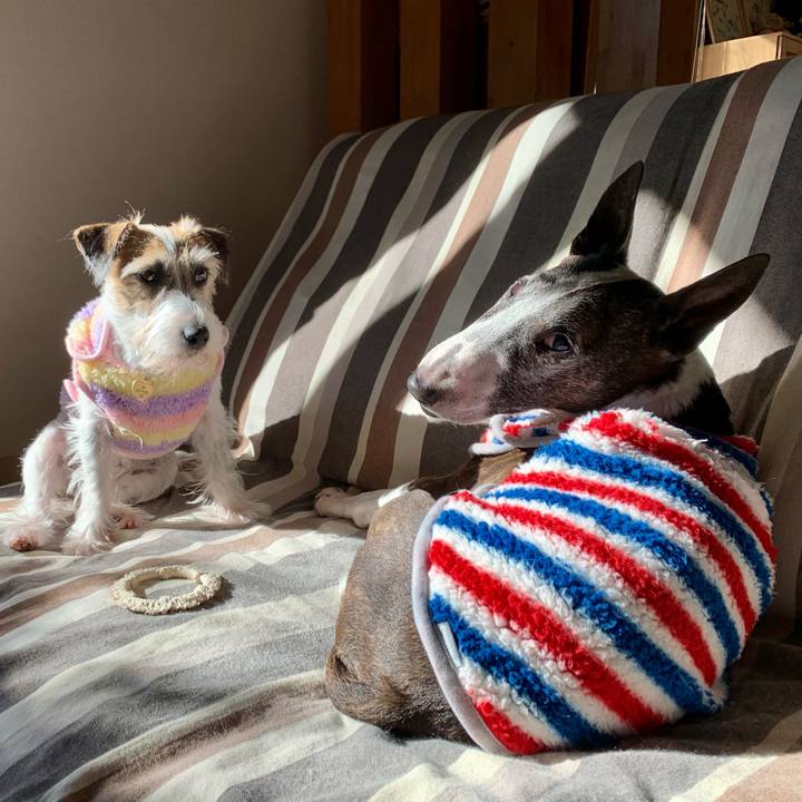 1d5659fa a006 4004 bfb7 5332befe39e3 1605054479648