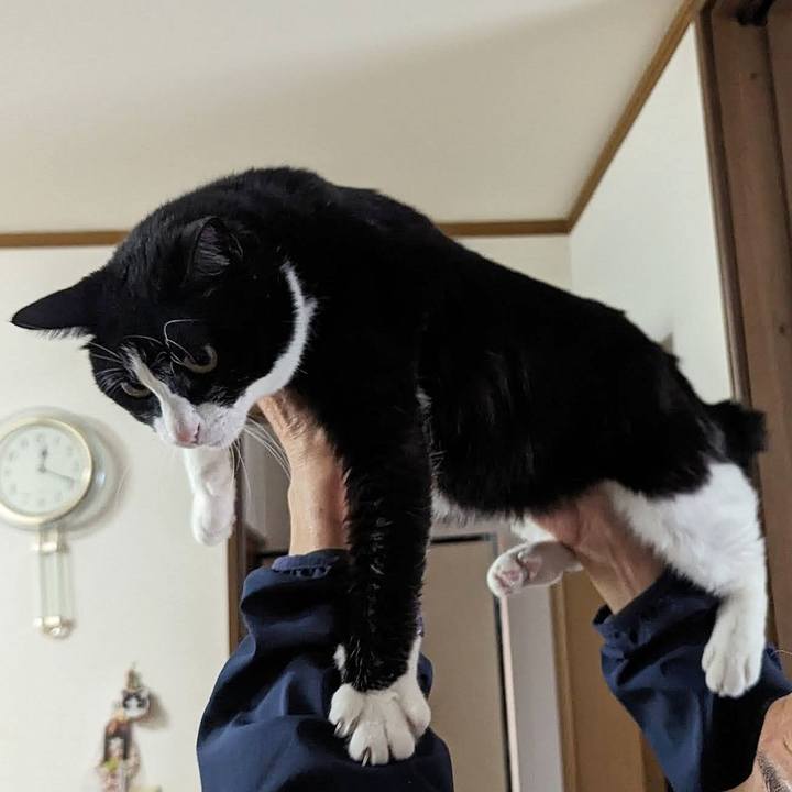 1d565dc0 8ed6 4407 96e4 427109b28e5a 1713673112397