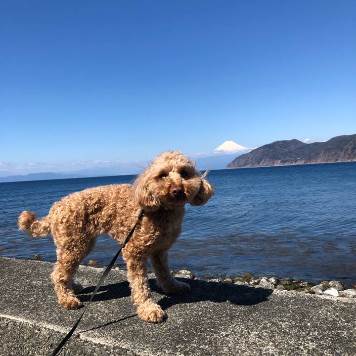 1d567cd2 d4d7 4686 b48c 541dc30aa257 1743728958560