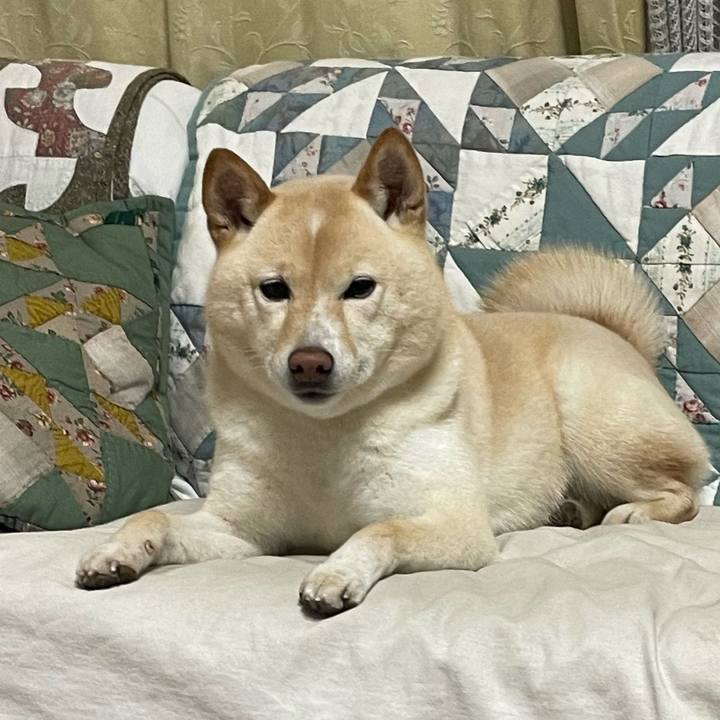 1d569270 42bc 43dd bc4a d3dd2980e8ea 1675422348094