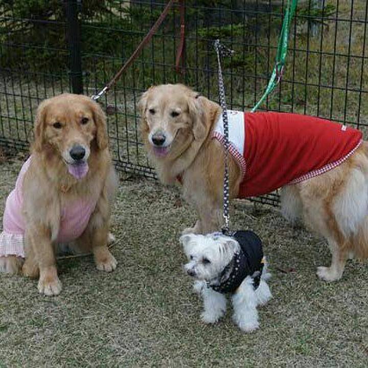 1d56d160 f73d 4fe8 8921 0147adf97e7e 1509344334686