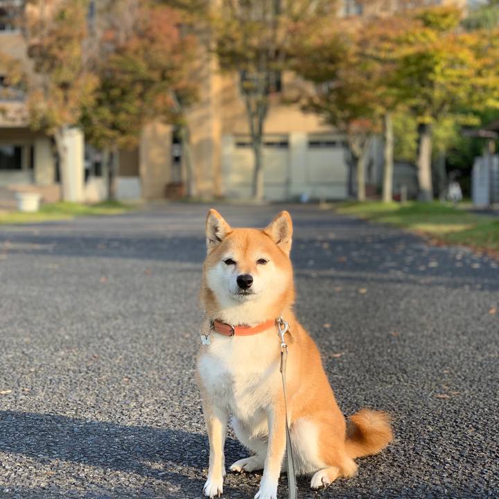 1d56d3ed d4a2 4632 8091 777be2e14072 1572479350192