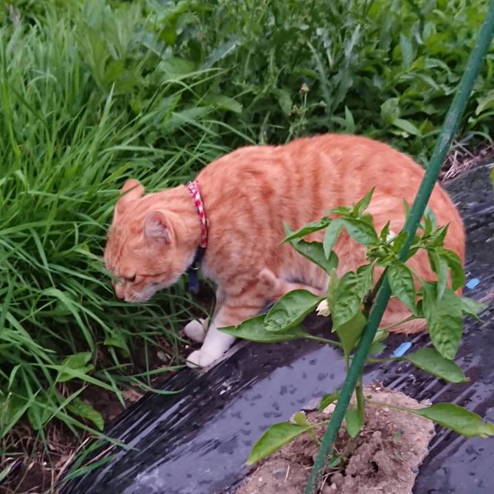 1d57161f 0263 4be3 9882 31612f23c41e 1561284446533