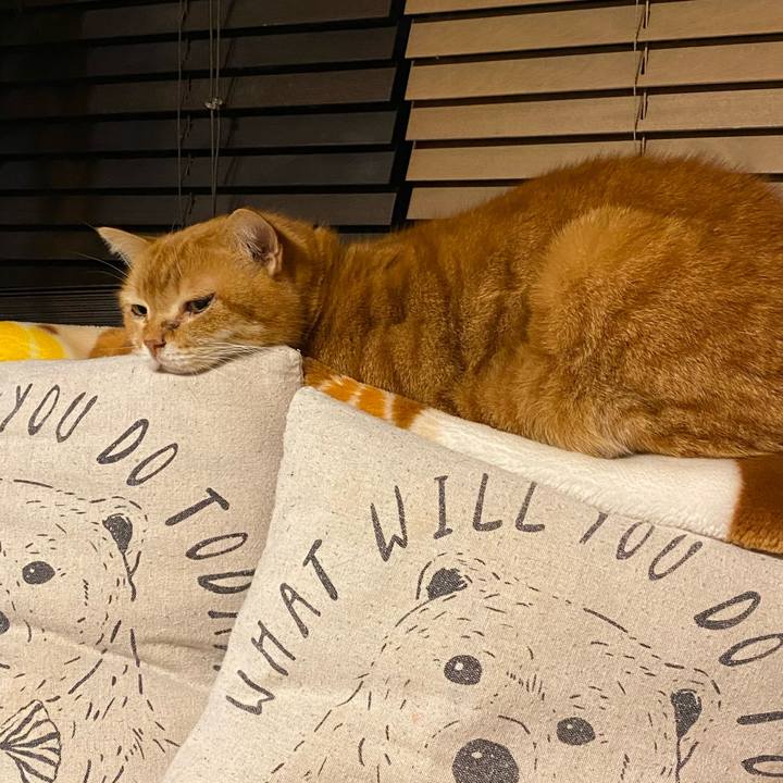 1d572466 6f9e 46e0 8905 43583e39a5d1 1613312795322