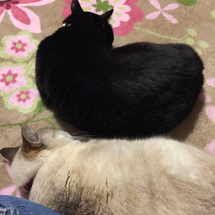 1d5765f7 6be5 470c 95d4 1b06ac3655c1 1519470757965