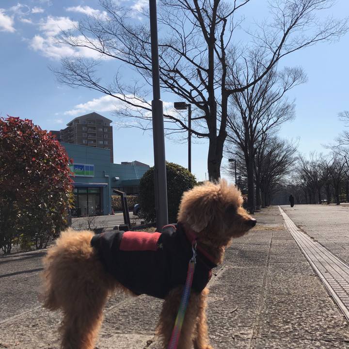 1d577bdc 5641 471c 8cd0 5ddf3becbda0 1551146860791