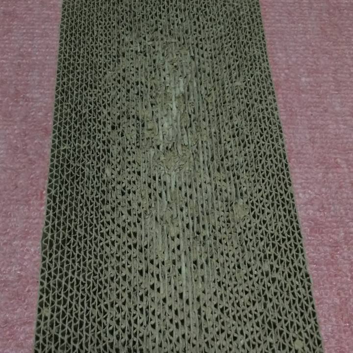 1d57837e 3653 4d98 951a 90620c691d7e 1524307245367