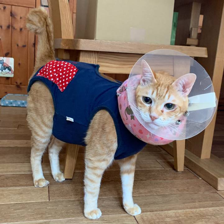 1d57b174 70b7 427c 8a1e bcec255d6c2a 1620096989470