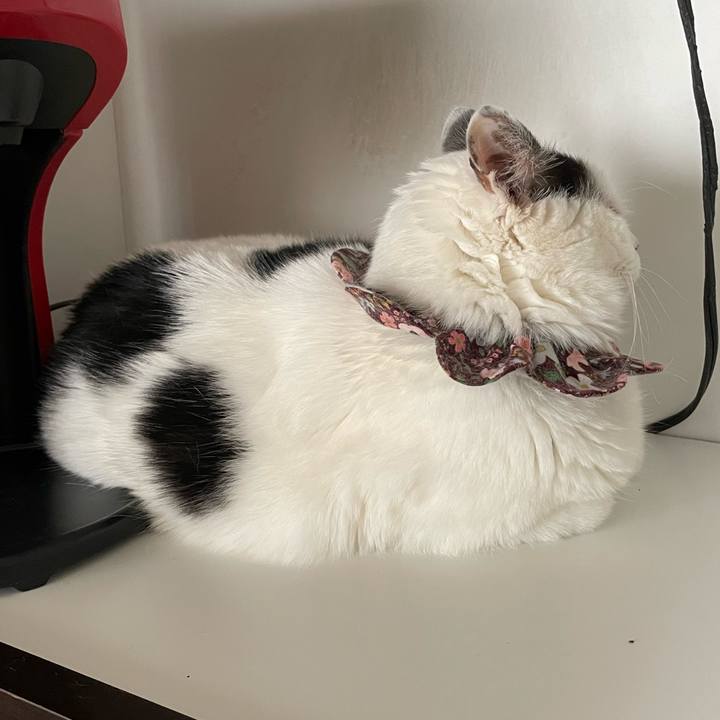 1d57c6e6 4d78 40b7 8da5 255263599223 1682033809642