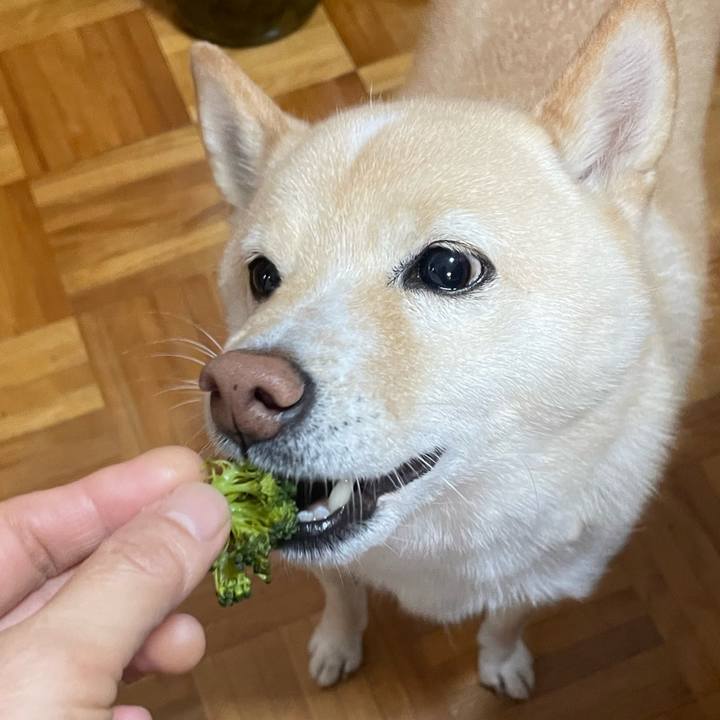 1d587591 daaf 42f5 b26c 8b6b9ef3e955 1699568926445