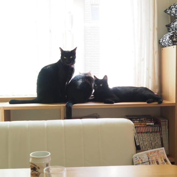 1d5895e6 f19c 4746 ba50 4133d11ce720 1559174280525