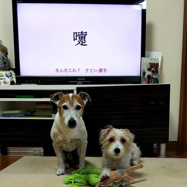 1d58bad8 859a 4e1a b9a0 1e27ce80b079 1559599767844