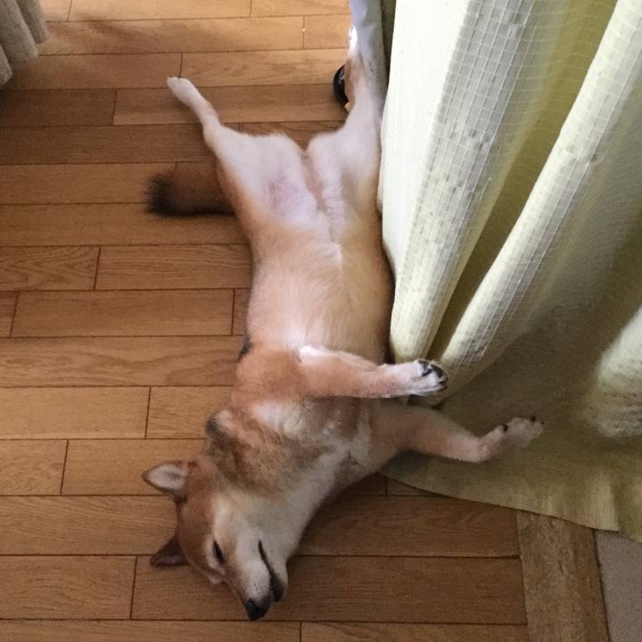 1d58d818 b0db 4cc3 9309 db02d3277064 1564987423096