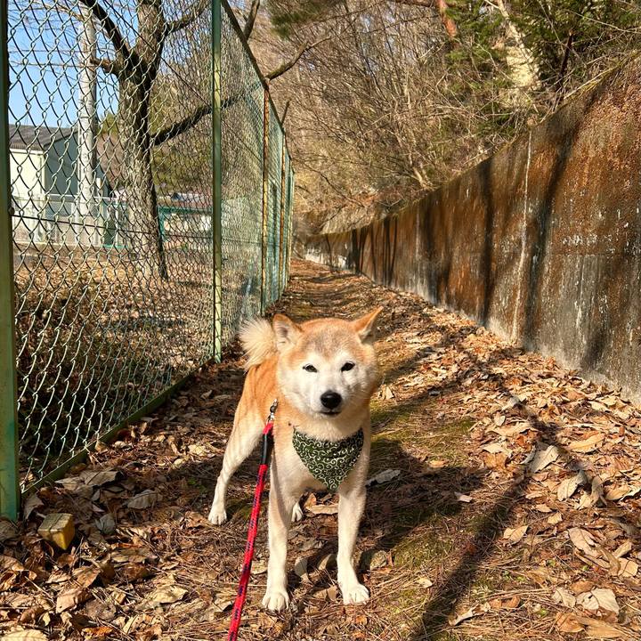 1d58dbe4 73ce 48dd 97d3 b32a9a0f6951 1737794838566