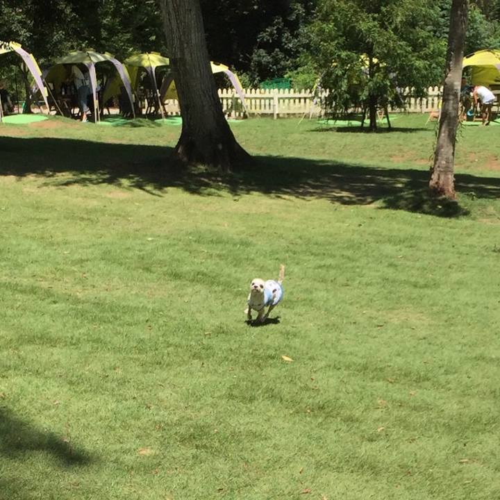 1d592bb6 bfa1 44c4 b992 6a229c40f4ae 1534501268393