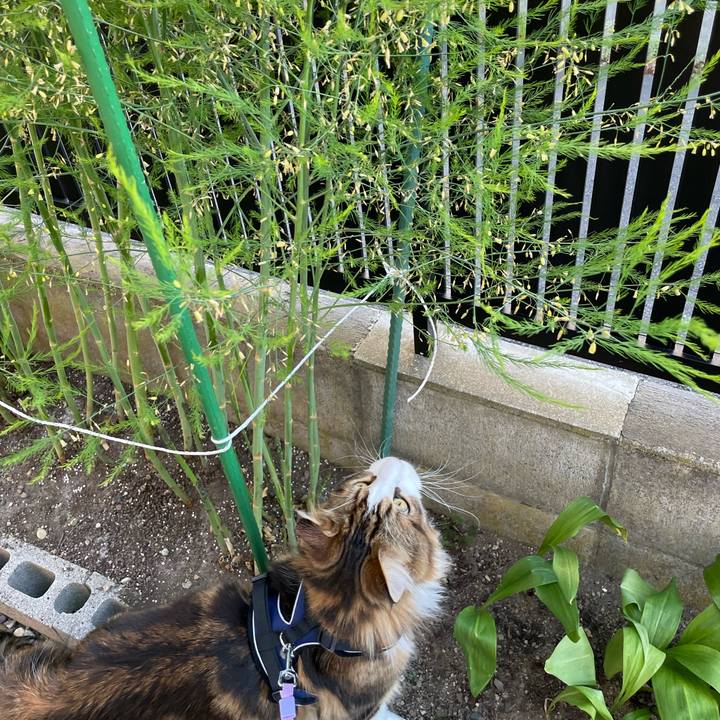 1d592dd0 f7c0 4817 bdcb 0db27005b13d 1655116352057