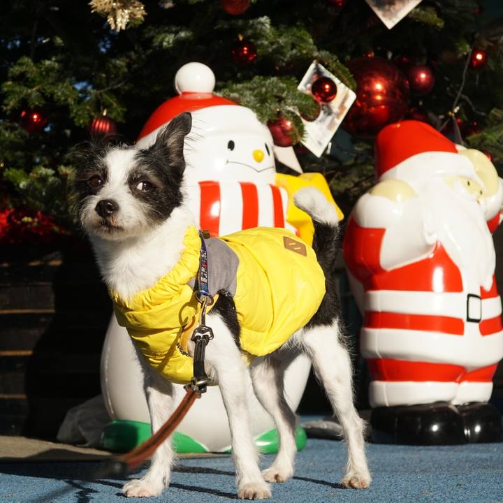 1d593a18 a208 4f87 8e56 5026937495c3 1638360605862