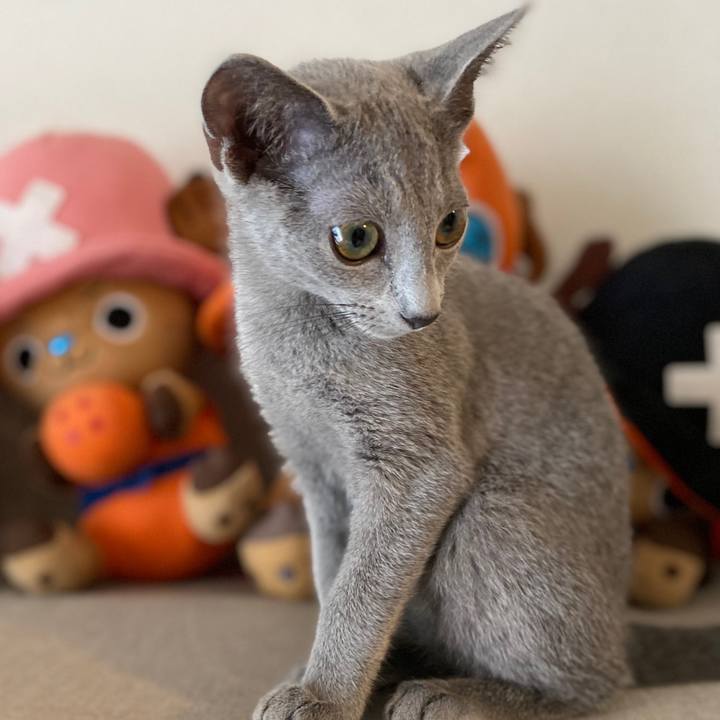 1d5944ff 5b9a 4237 bb21 bc9a434d4ac9 1615079524561