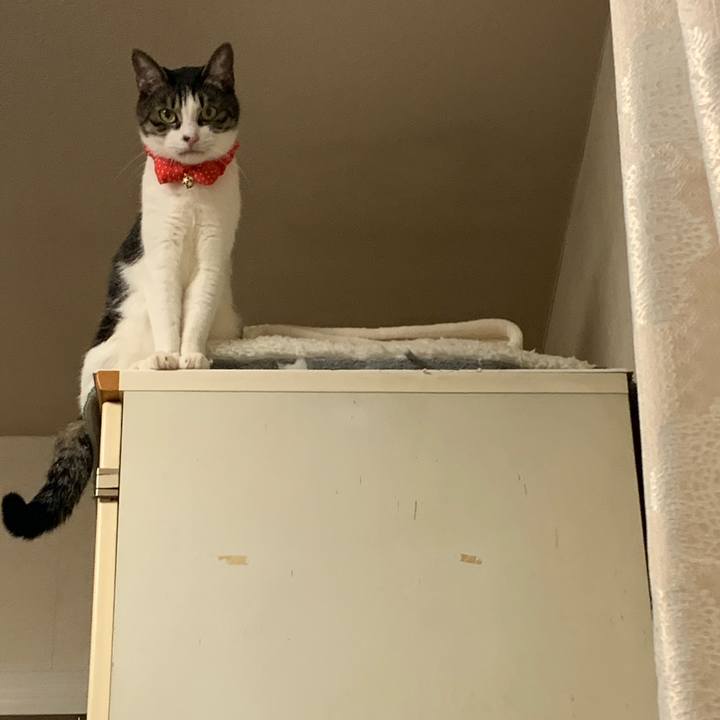 1d598d88 626e 4e46 acc8 15854d5a5ee0 1588508260306