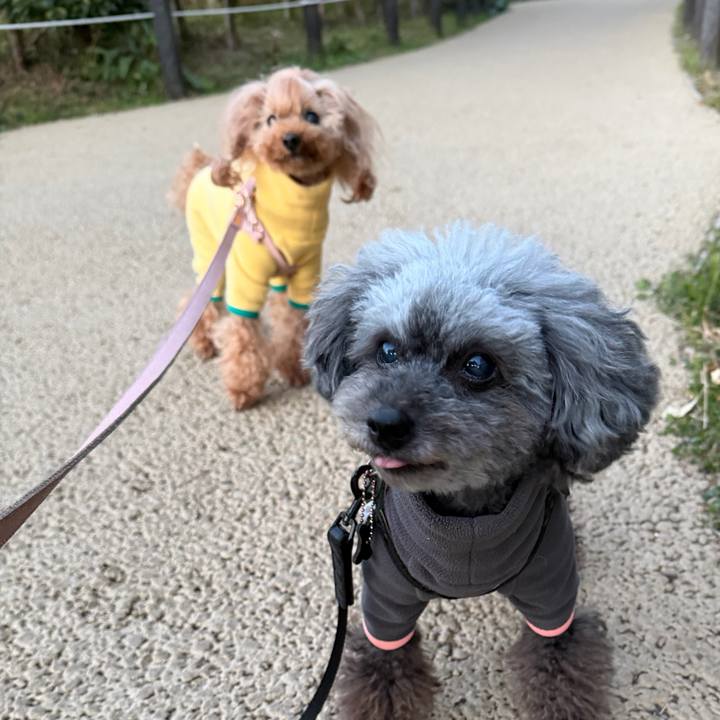 1d5999a5 bd4c 4959 adf8 5164628d5e56 1769988391081