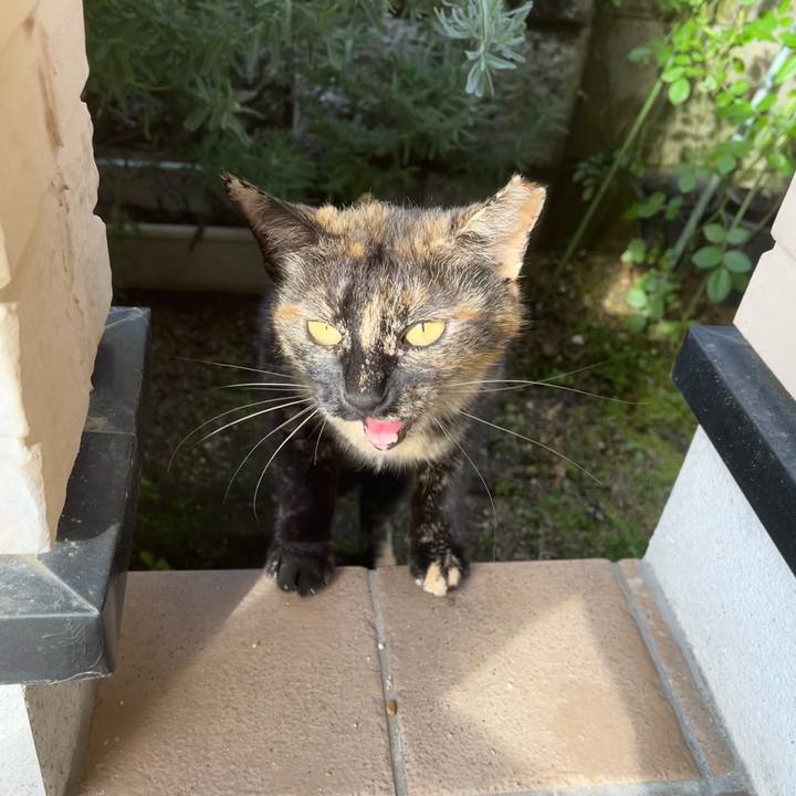 1d59a40d d62a 42a9 bdd0 59c09044f0f9 1682857294723