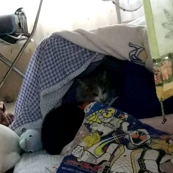 1d59b10d 67bf 4794 829a 83feb9f7e81e 1566563370943