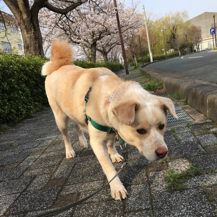 1d59eb25 d4c1 4dcb 8fe3 975113d4f060 1522122660633