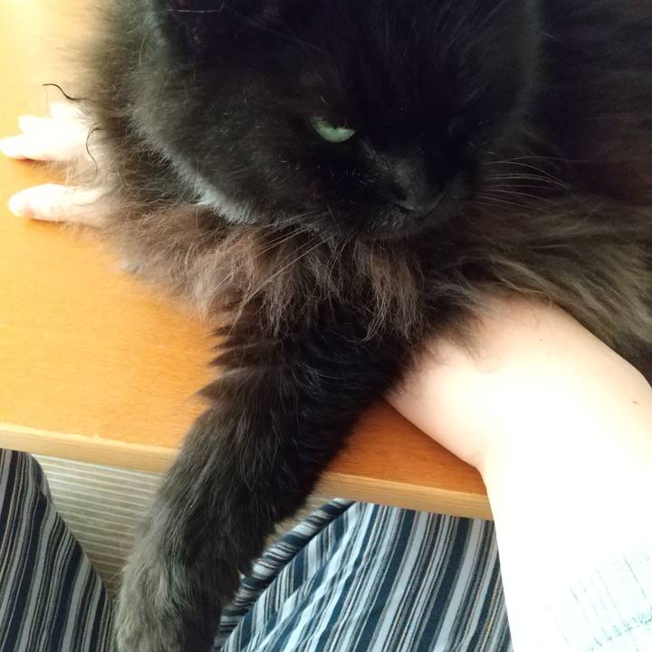 1d59f272 522c 4495 a5c8 80c1d32030c0 1632288196351