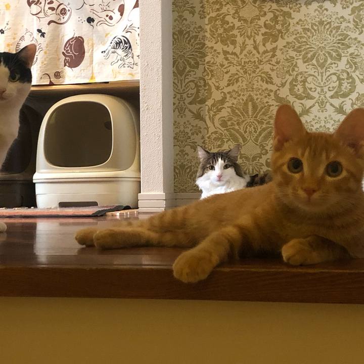 1d59f577 6048 43c0 9815 248623e4289a 1569421692961