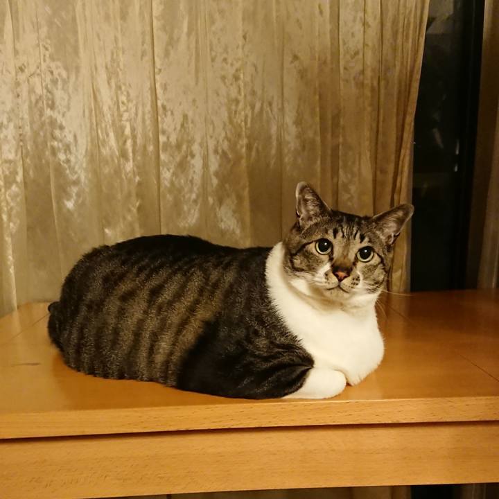 1d5a182a 1e50 4239 86a1 b9a5c870a18a 1556453583860