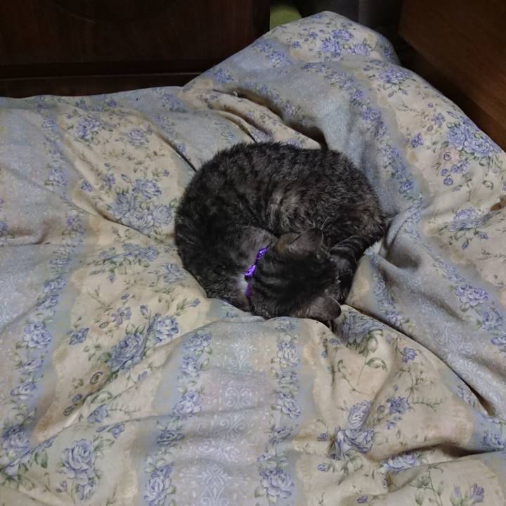 1d5a3651 121a 40b8 8d64 51df022e8b3c 1580213601692