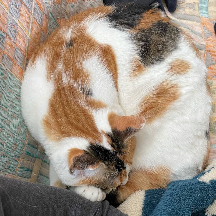 1d5a4ff9 ba96 460a a0f8 e4f7e9502478 1619312636839