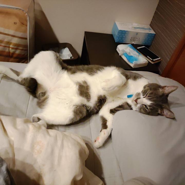 1d5a56fb de29 4c57 a757 50cfb9c289d5 1664748221661