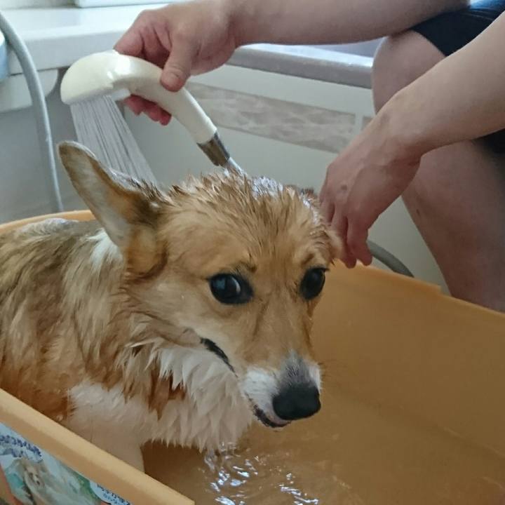 1d5a6ddb 8891 483e b9d2 4f6dfe5ffee3 1527996277096