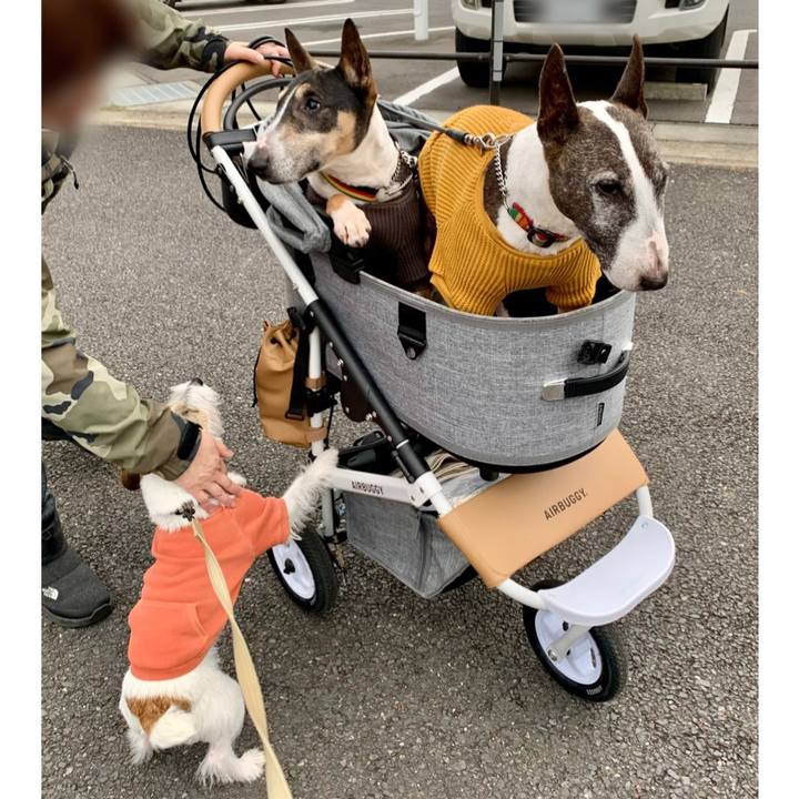 1d5a7b2d bd82 40e7 a739 b2b92ff9e53f 1611738958016