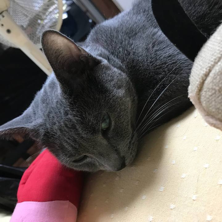 1d5aa1e2 f701 4b7a 9b54 048ef02cbd05 1536707438694