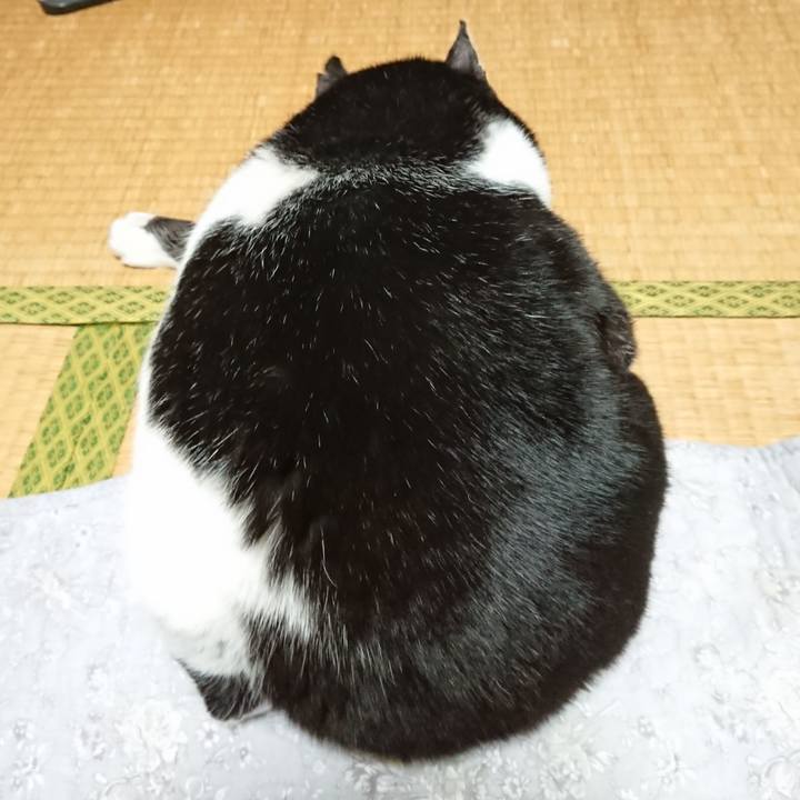 1d5ab933 e3dc 443e 9531 9c99dac85457 1642506190917