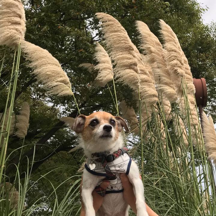 1d5aca59 c848 461c 8dc6 2086169cf345 1569660882152