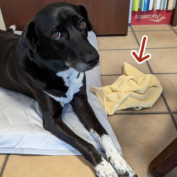 1d5acc24 14ce 4cbd 8fc7 7af074ae0912 1660906613992