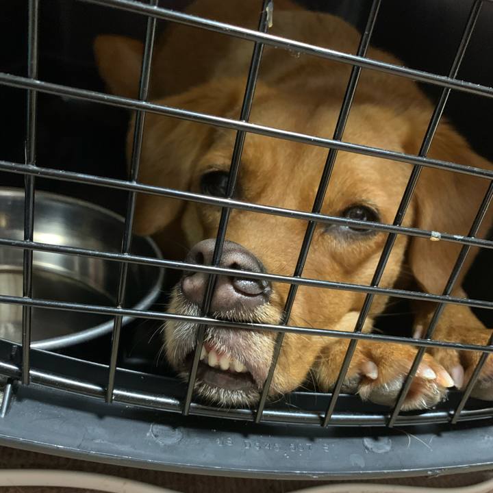 1d5ada45 2c36 4a34 bcfc d52c25ea5f4c 1576273860213