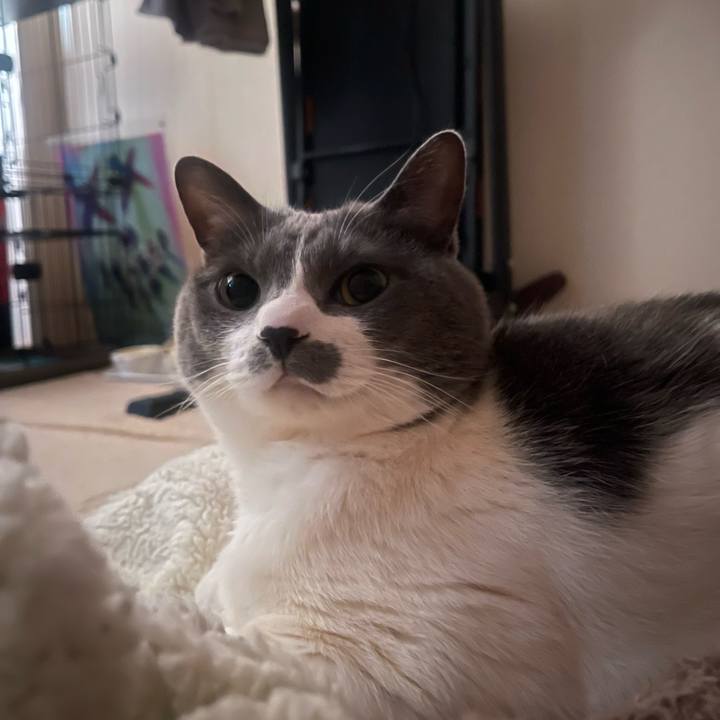 1d5aed10 ead7 459a 83a1 29783a5ff16d 1741300392302