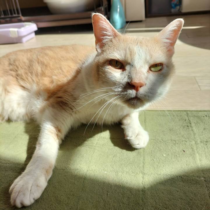 1d5b1d36 d1a7 4d9a 9613 adc920f48d68 1651274660771