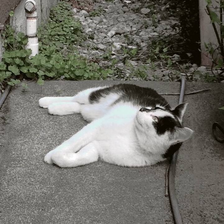 1d5b4762 8a99 4834 9bc9 2197bd0fb9e3 1553249459808