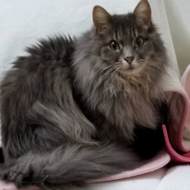 1d5b547c 8384 4e0c 8ef8 ccfb152e224e 1586182002681