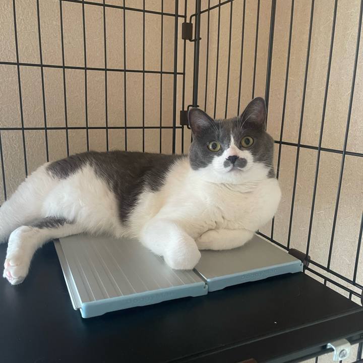 1d5b7ee0 0ca4 4ca6 8edf c75ebc0752c0 1690497451779