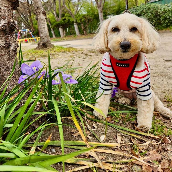 1d5bc9bb 5962 4eea ab68 276ef22fb6fc 1771993887608